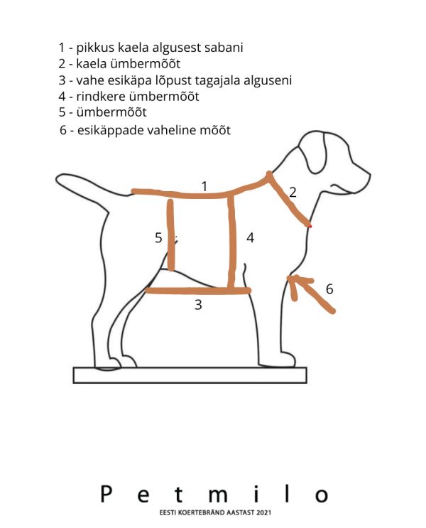 Microfiibrist kuivatusmantel 