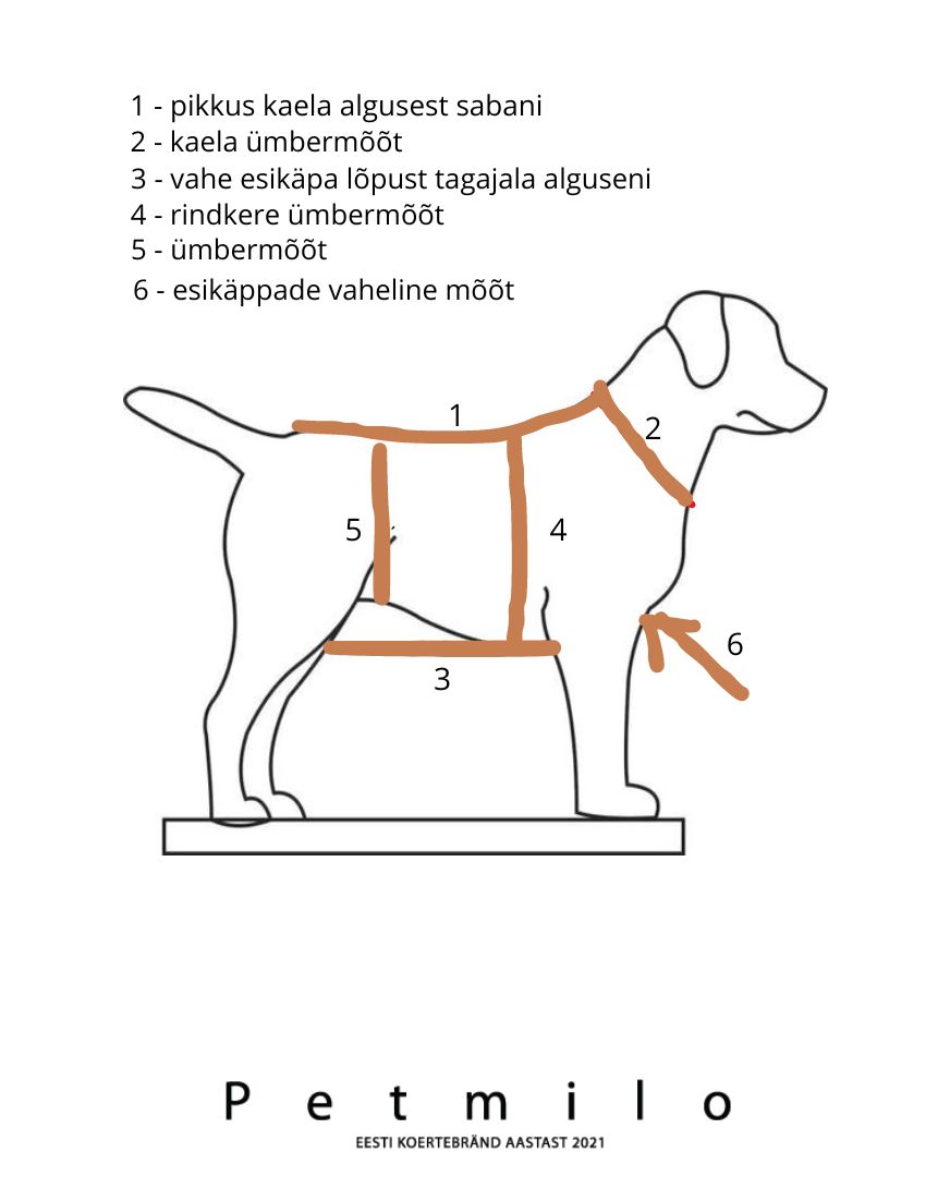 microfiibrist kuivatusmantel koerale